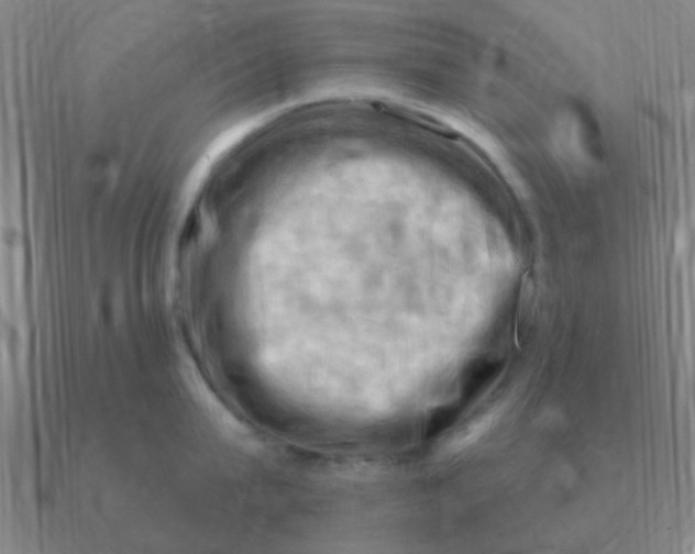 X0000090630815200708071244