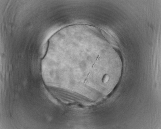 X0000090630816200708071244