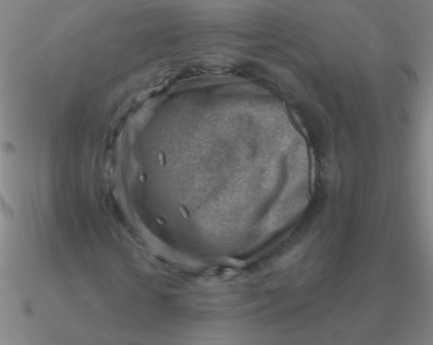 X0000090630818200708071244