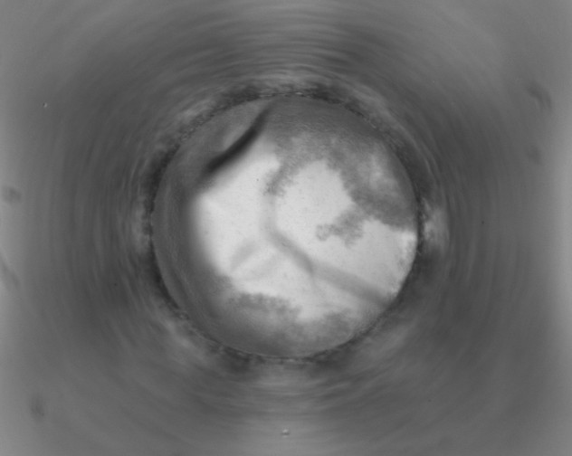 X0000090630819200708071244