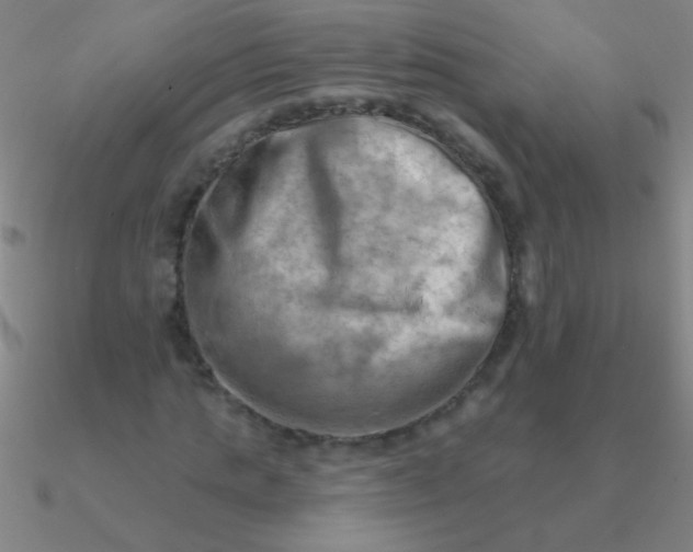 X0000090630821200708071244