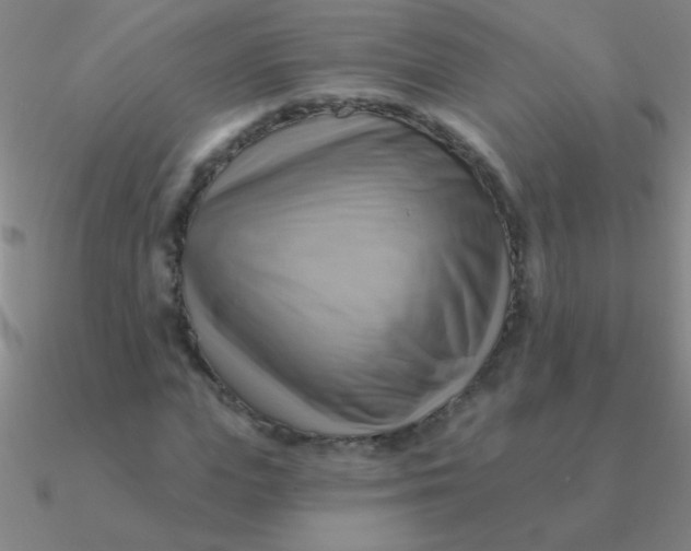 X0000090630823200708071244