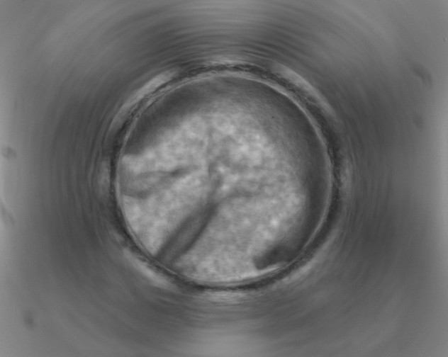 X0000090630825200708071244