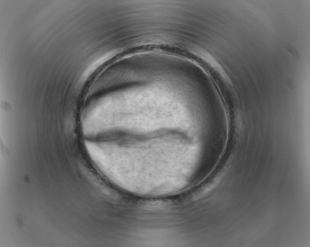 X0000090630826200708071244