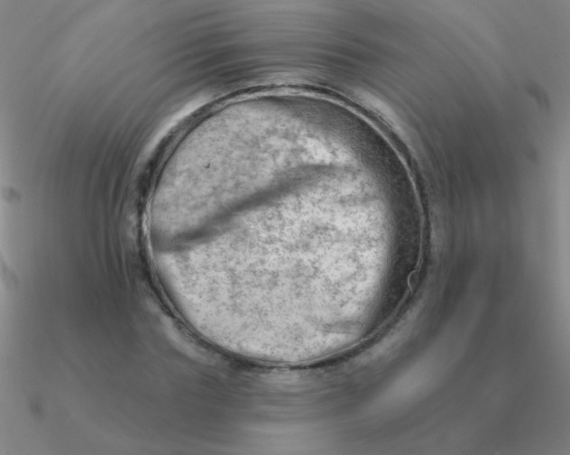 X0000090630827200708071244