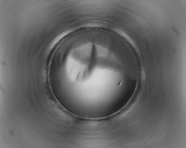 X0000090630829200708071244