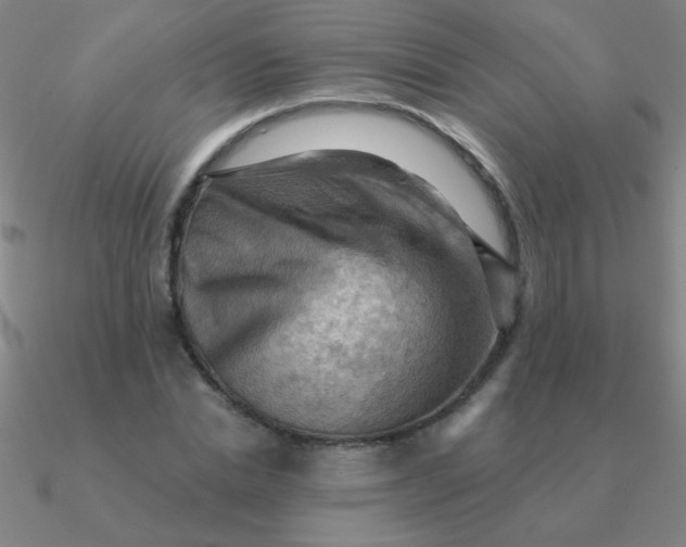 X0000090630830200708071244