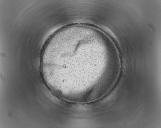 X0000090630831200708071244