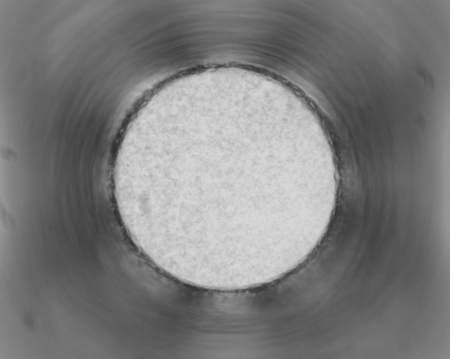 X0000090630832200708071244