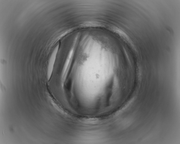 X0000090630833200708071244