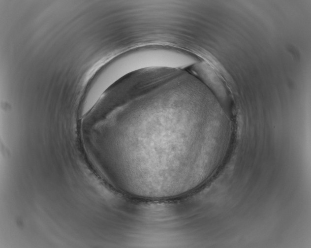 X0000090630834200708071244