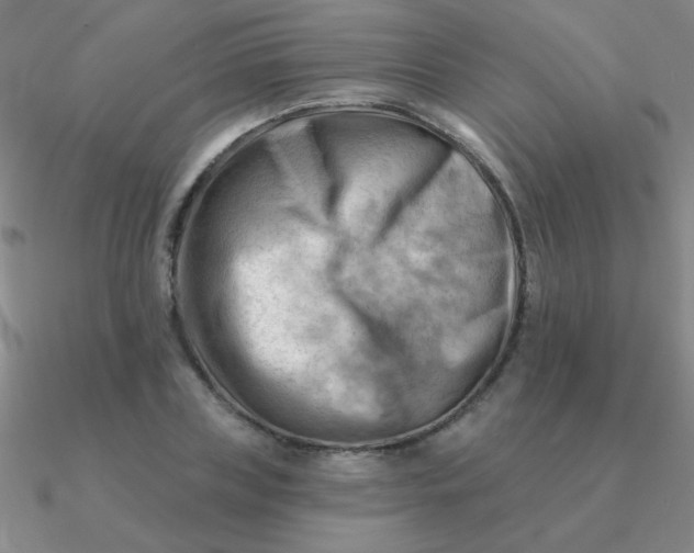 X0000090630835200708071244