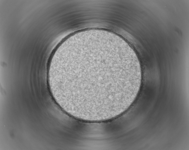 X0000090630836200708071244