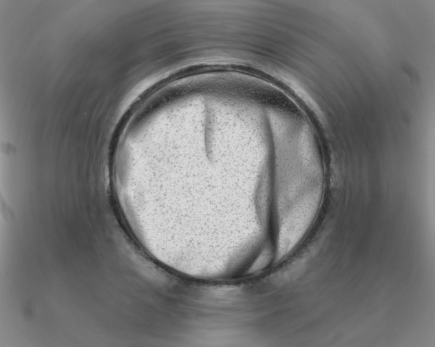 X0000090630837200708071244