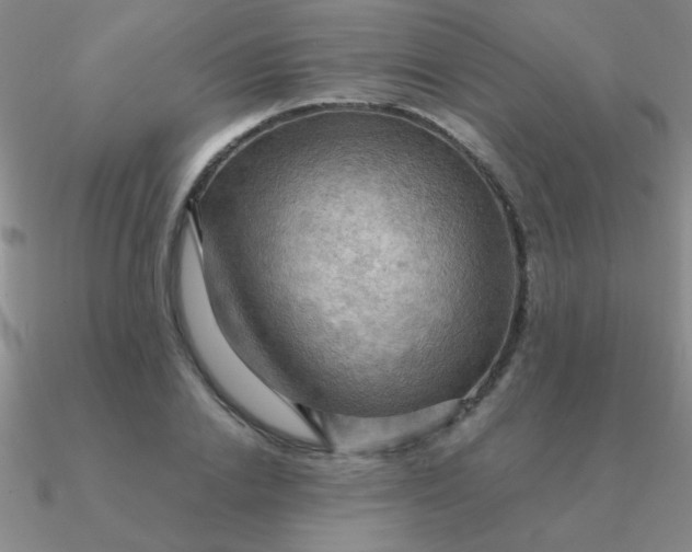 X0000090630838200708071244