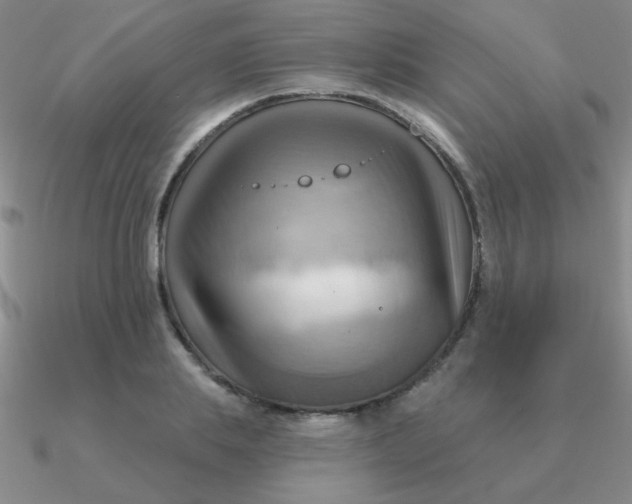 X0000090630839200708071244