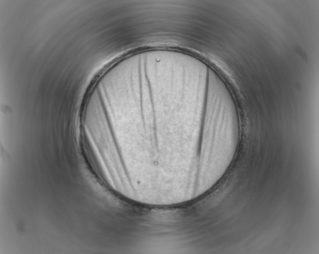 X0000090630840200708071244