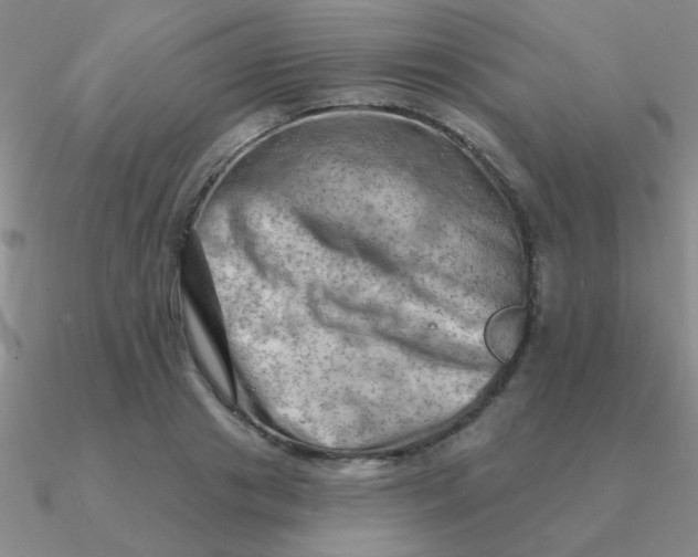 X0000090630841200708071244