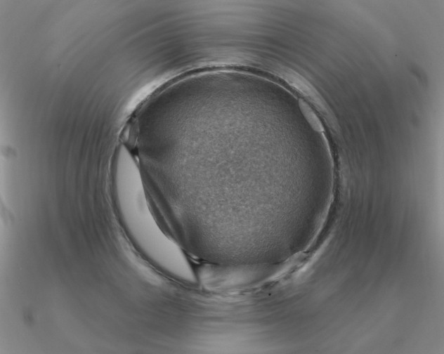 X0000090630842200708071244