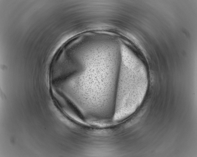 X0000090630843200708071244