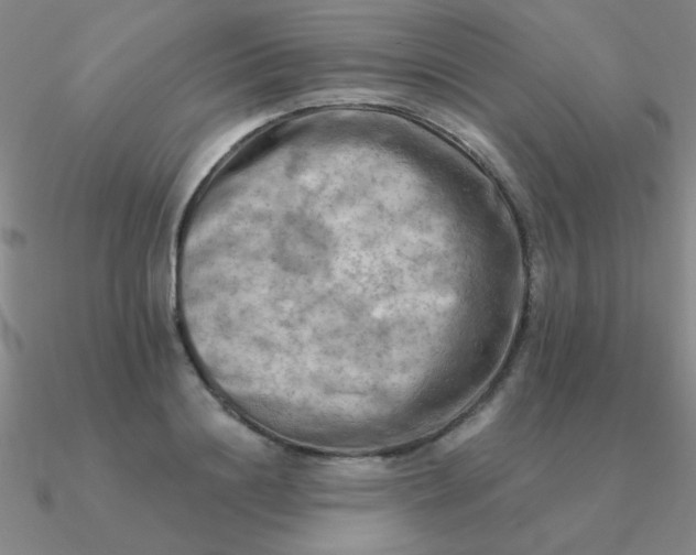 X0000090630844200708071244