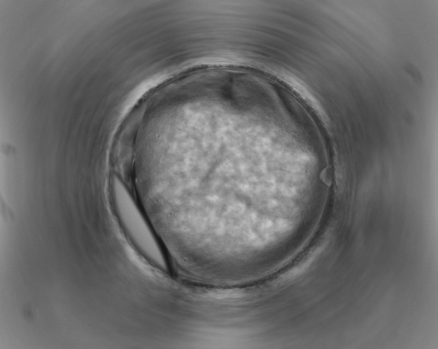 X0000090630845200708071244