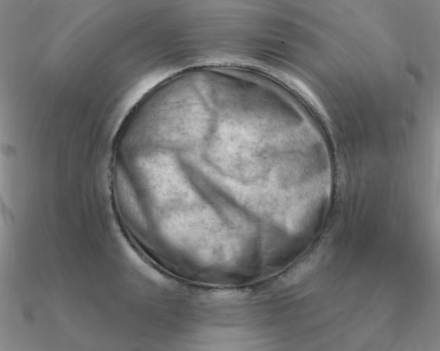 X0000090630847200708071244