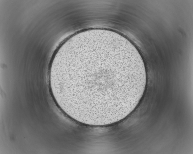 X0000090630848200708071244