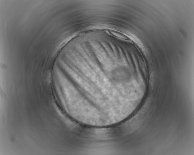 X0000090630849200708071244