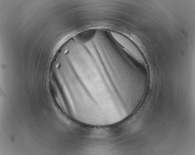 X0000090630850200708071244