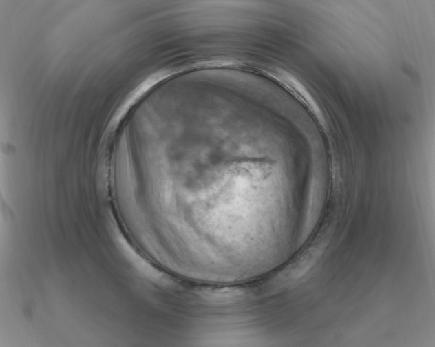 X0000090630851200708071244