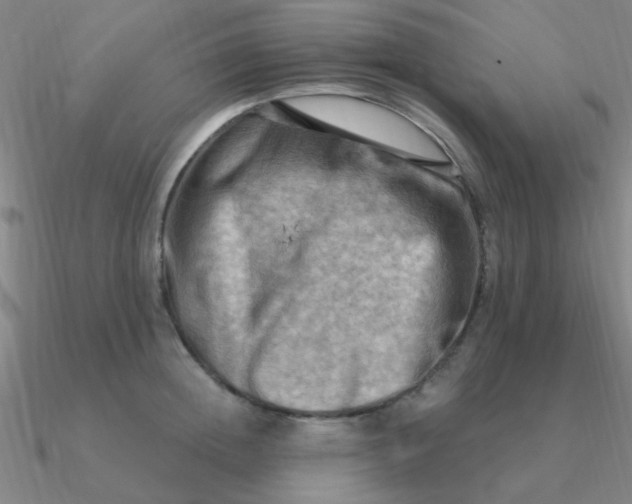 X0000090630852200708071244