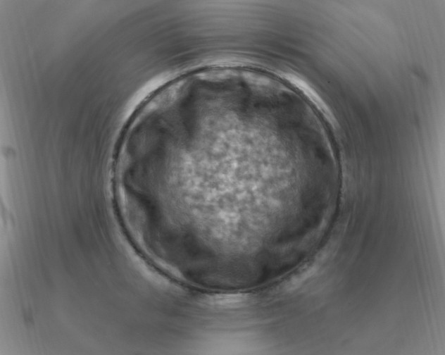 X0000090630853200708071244