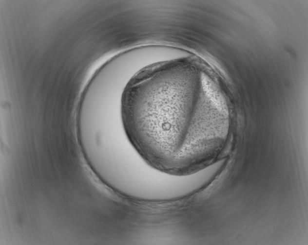 X0000090630854200708071244