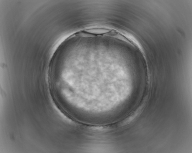 X0000090630855200708071244