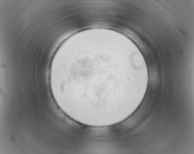 X0000090630856200708071244