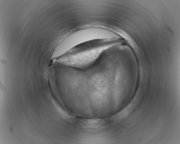 X0000090630857200708071244