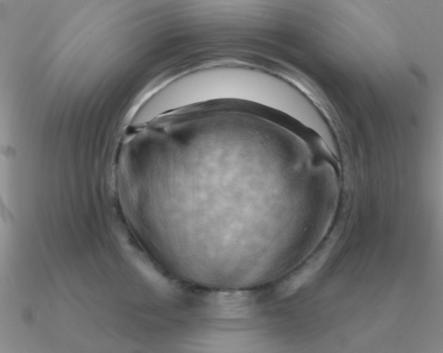 X0000090630858200708071244