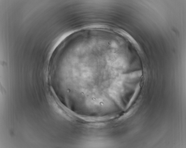 X0000090630860200708071244