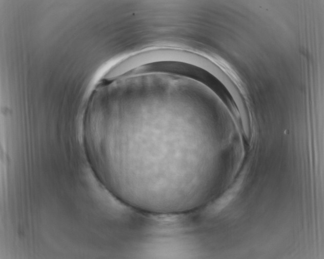 X0000090630862200708071244