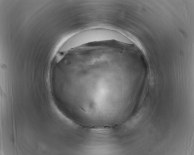 X0000090630863200708071244