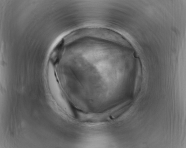 X0000090630864200708071244