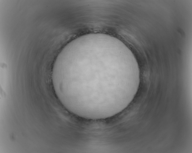 X0000090630865200708071244