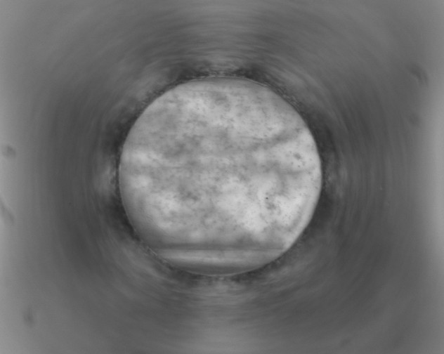 X0000090630866200708071244