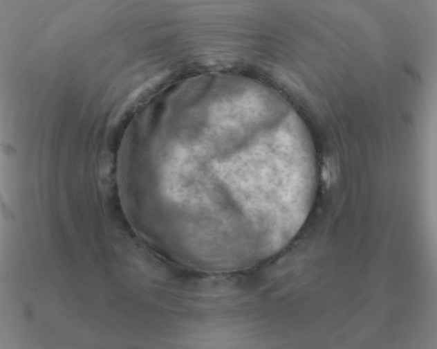 X0000090630867200708071244