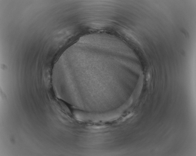 X0000090630868200708071244