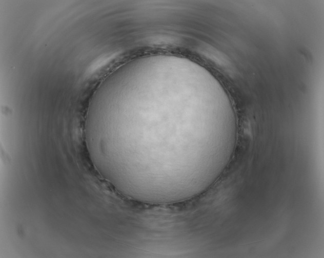 X0000090630869200708071244