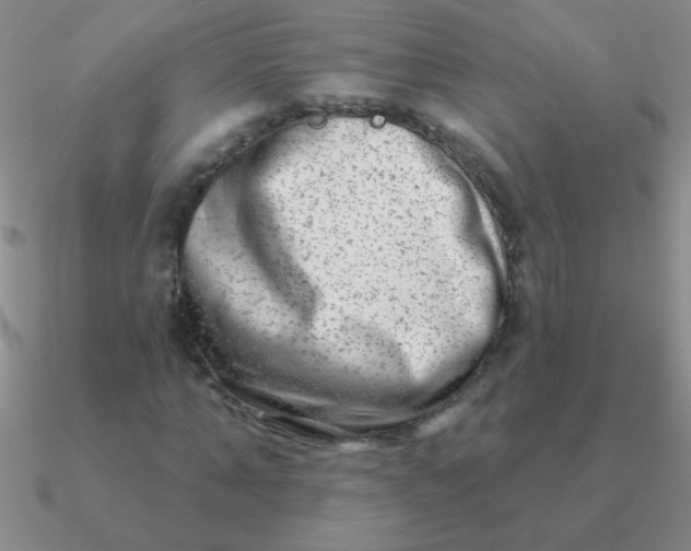 X0000090630870200708071244