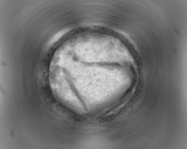 X0000090630871200708071244