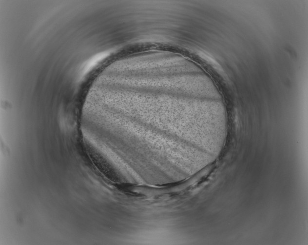 X0000090630872200708071244